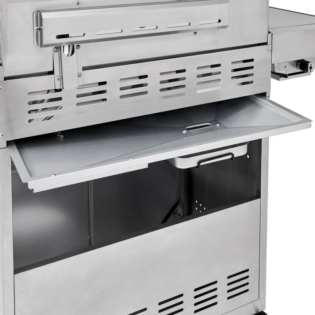 Stainless Steel Gas Barbecue Back